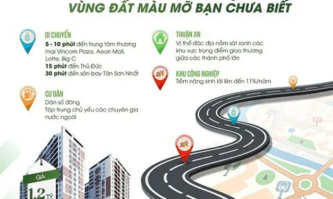 BÌNH DƯƠNG – CHIẾN LƯỢC NÀO CHO DOANH NGHIỆP BẤT ĐỘNG SẢN